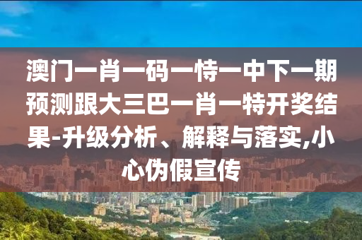 澳门一肖一码一恃一中下一期预测跟大三巴一肖一特开奖结果-升级分析、解释与落实,小心伪假宣传