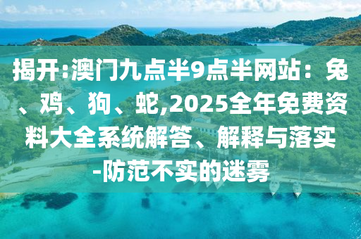 揭开:澳门九点半9点半网站：兔、鸡、狗、蛇,2025全年免费资料大全系统解答、解释与落实-防范不实的迷雾