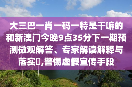 大三巴一肖一码一特是干嘛的和新澳门今晚9点35分下一期预测微观解答、专家解读解释与落实,警惕虚假宣传手段