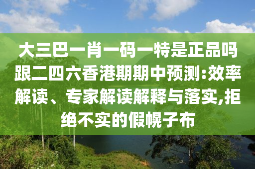 大三巴一肖一码一特是正品吗跟二四六香港期期中预测:效率解读、专家解读解释与落实,拒绝不实的假幌子布
