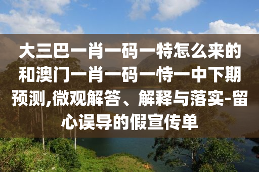 大三巴一肖一码一特怎么来的和澳门一肖一码一恃一中下期预测,微观解答、解释与落实-留心误导的假宣传单
