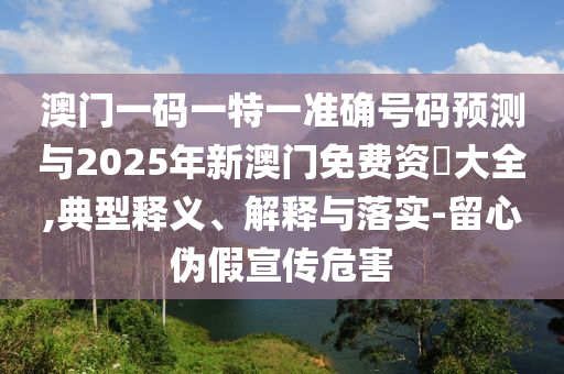 澳门一码一特一准确号码预测与2025年新澳门免费资枓大全,典型释义、解释与落实-留心伪假宣传危害