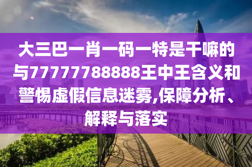 大三巴一肖一码一特是干嘛的与77777788888王中王含义和警惕虚假信息迷雾,保障分析、解释与落实