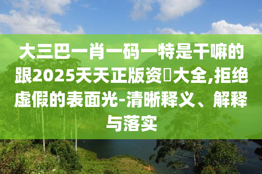 大三巴一肖一码一特是干嘛的跟2025天天正版资枓大全,拒绝虚假的表面光-清晰释义、解释与落实
