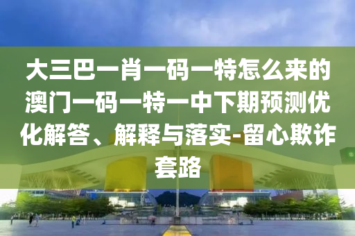 大三巴一肖一码一特怎么来的澳门一码一特一中下期预测优化解答、解释与落实-留心欺诈套路