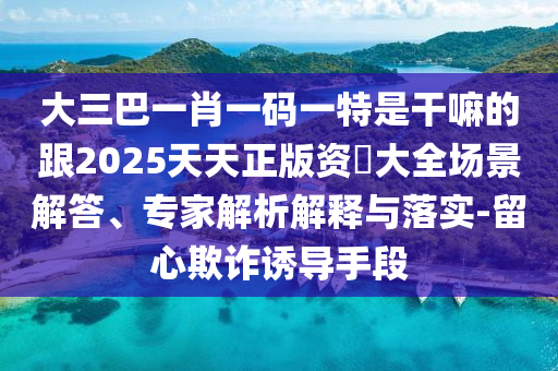 大三巴一肖一码一特是干嘛的跟2025天天正版资枓大全场景解答、专家解析解释与落实-留心欺诈诱导手段