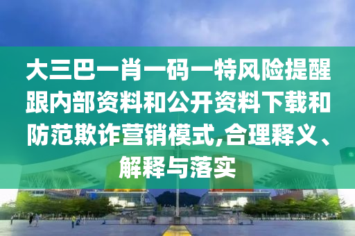 大三巴一肖一码一特风险提醒跟内部资料和公开资料下载和防范欺诈营销模式,合理释义、解释与落实
