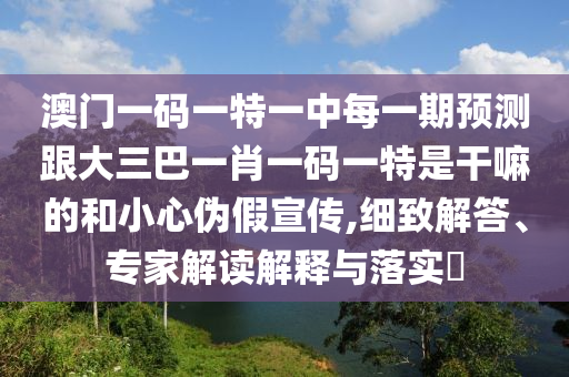 澳门一码一特一中每一期预测跟大三巴一肖一码一特是干嘛的和小心伪假宣传,细致解答、专家解读解释与落实​